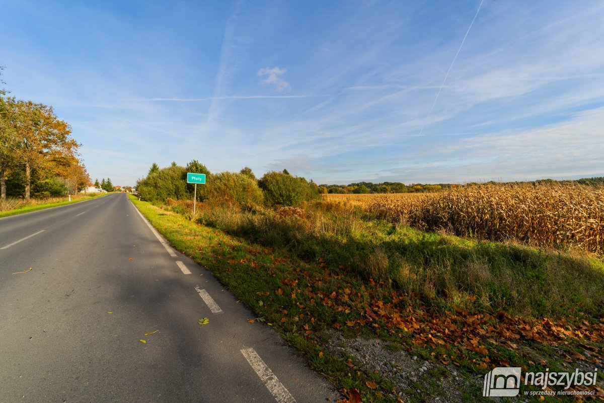 Płoty-działka z wydanymi warunkami zabudowy (5)