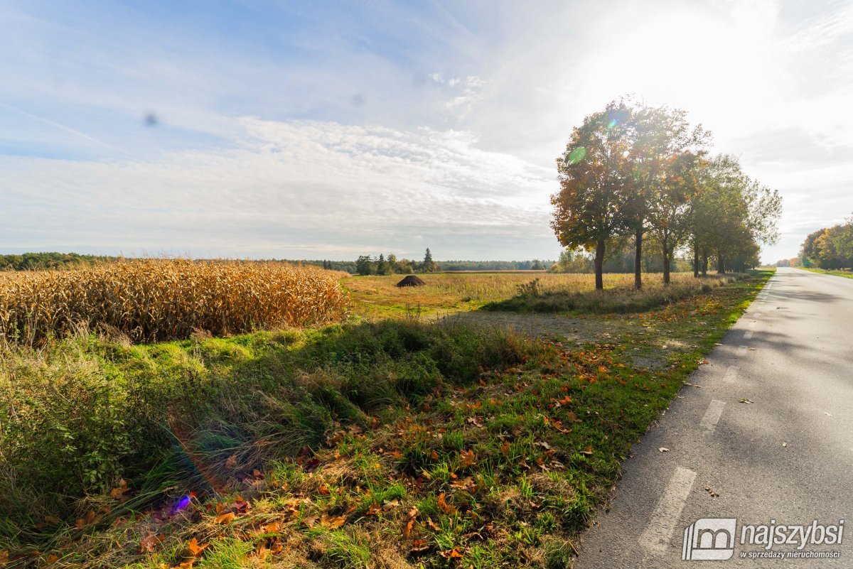 Płoty-działka z wydanymi warunkami zabudowy (6)