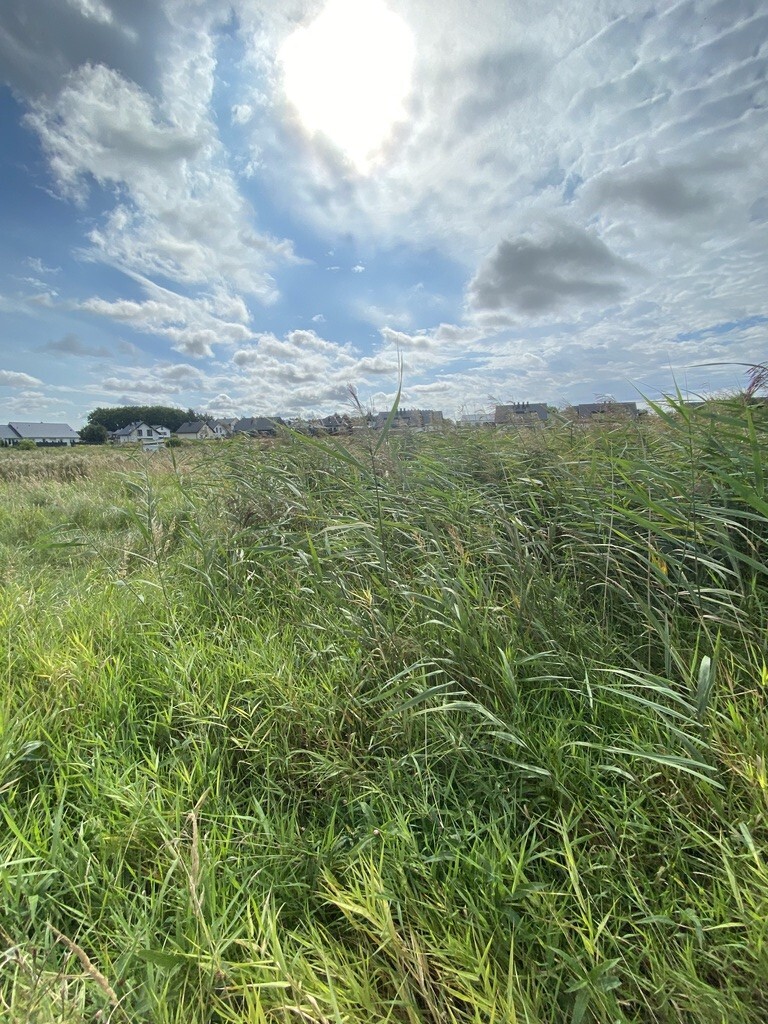 Działka budowlana w Mierzynie (1)