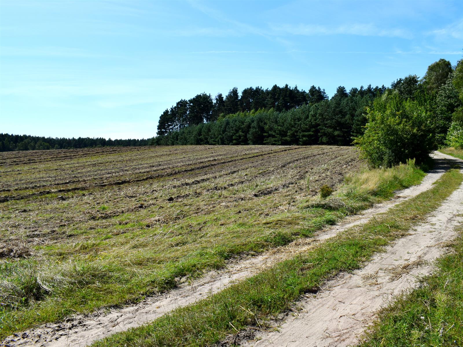 Działka siedliskowa - Ostroróg  (13)