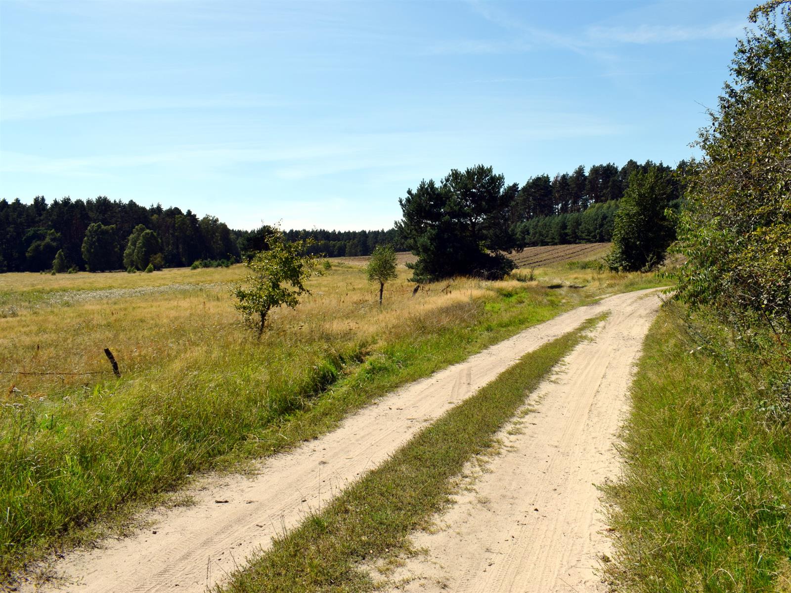 Działka siedliskowa - Ostroróg  (5)