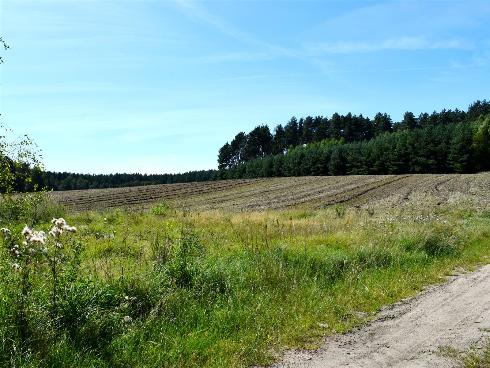 Działka siedliskowa - Ostroróg  (8)