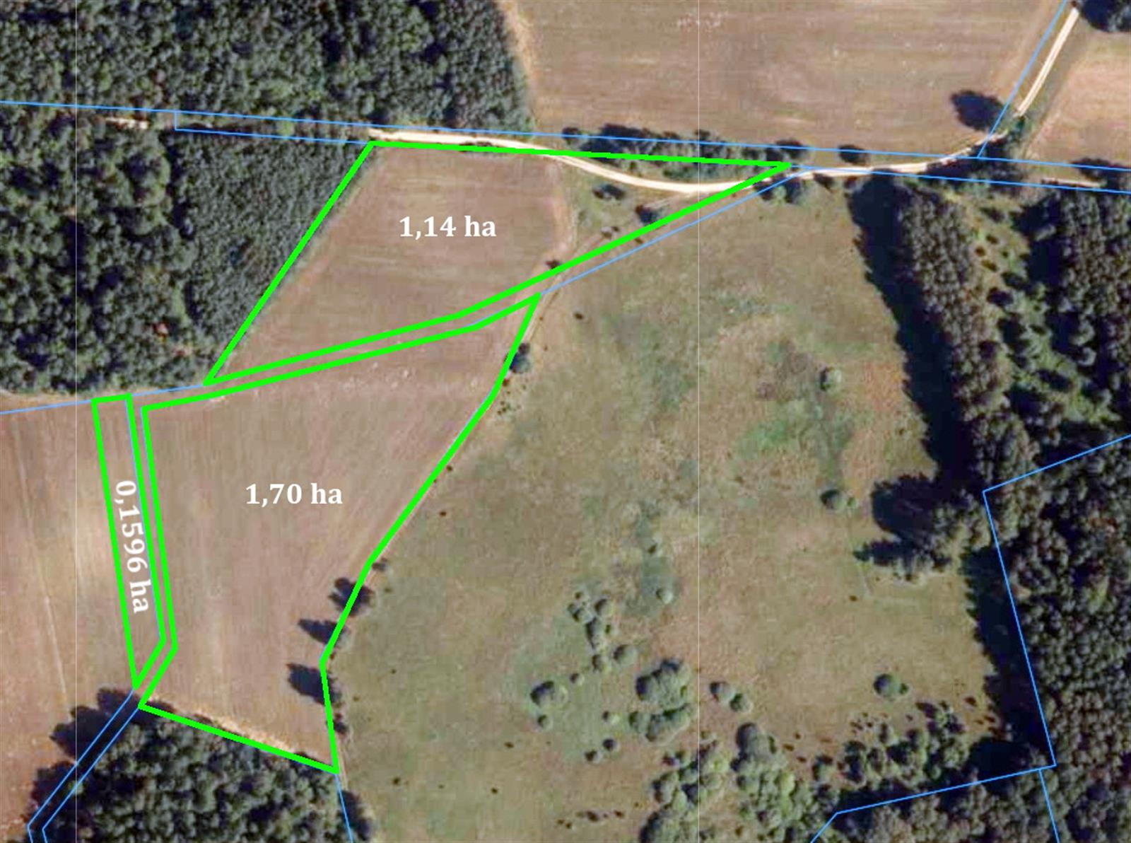 Działka rolna - Ostroróg  (1)