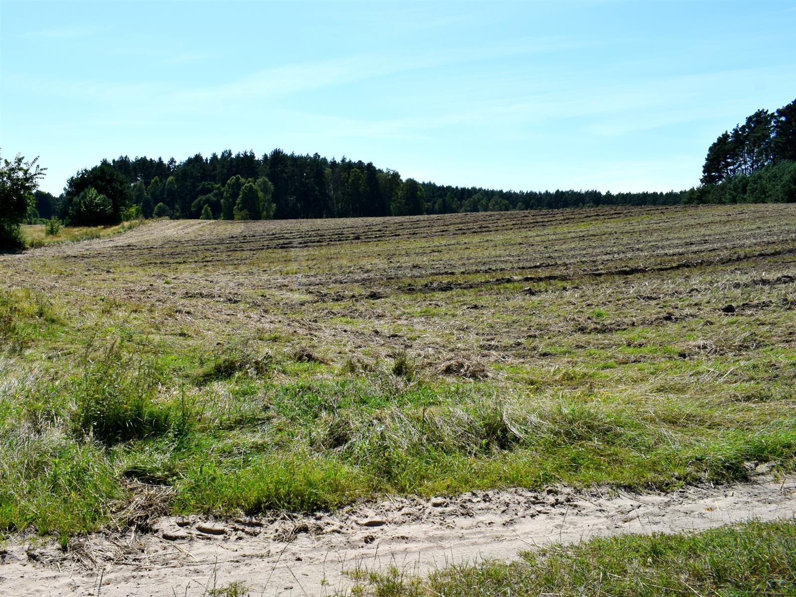 Działka rolna - Ostroróg  (11)