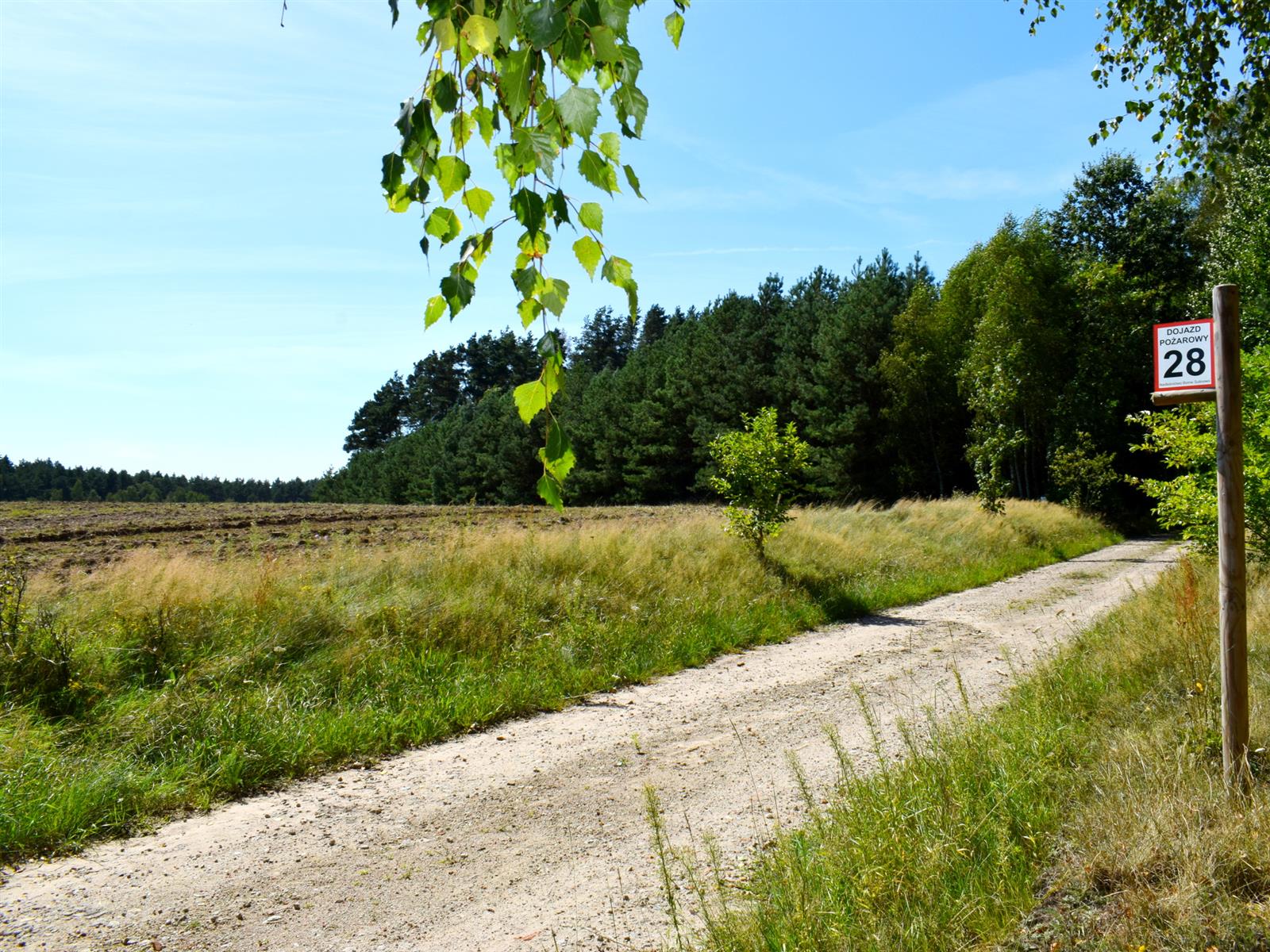 Działka rolna - Ostroróg  (14)