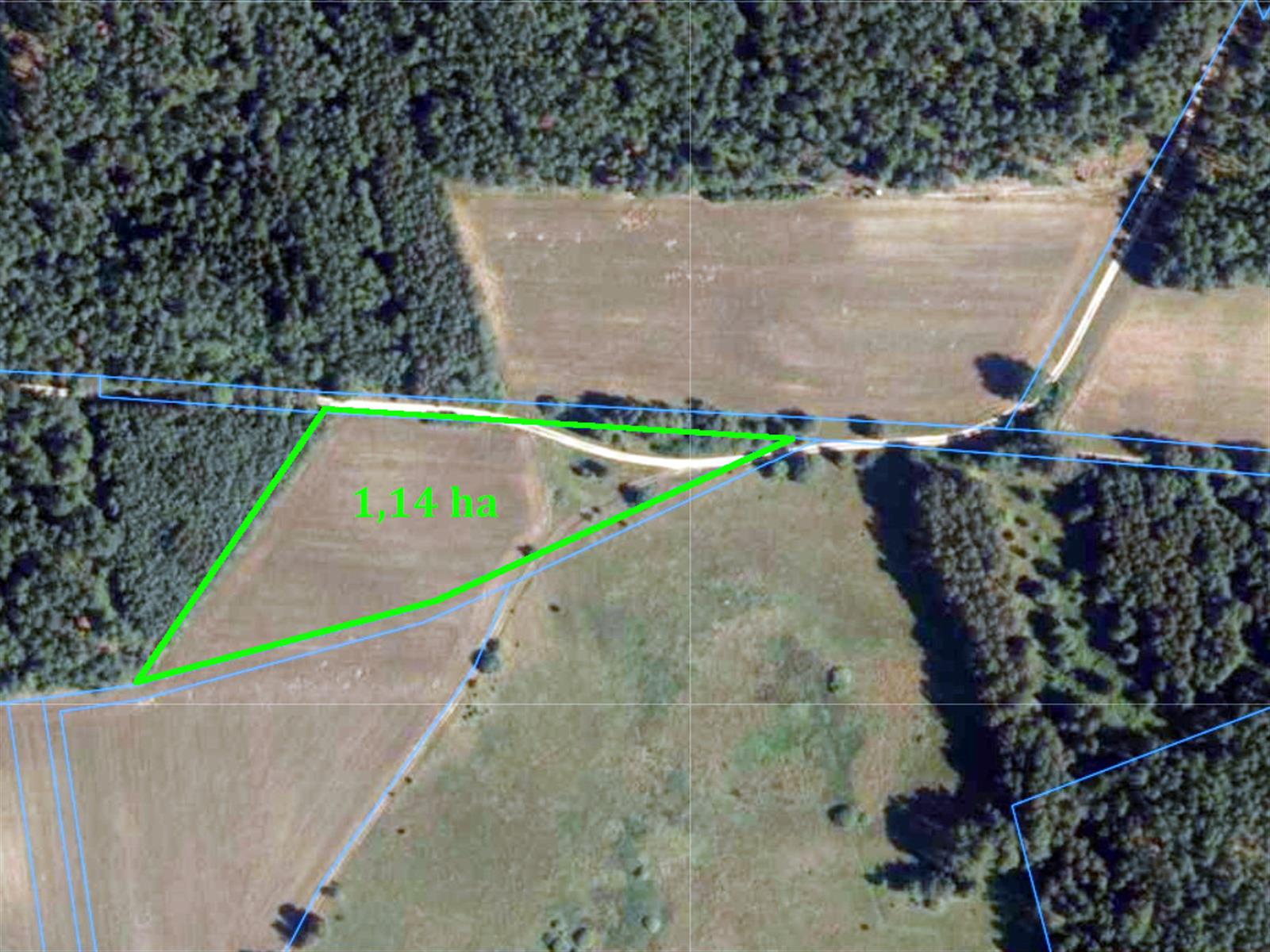 Działka rolna - Ostroróg  (5)