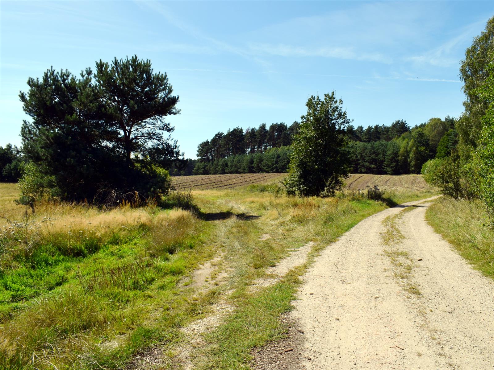Działka rolna - Ostroróg  (8)