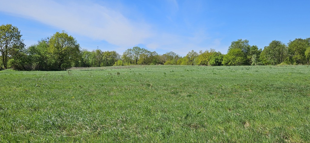 Działka z potencjałem inwestycyjnym - SKOLWIN (1)