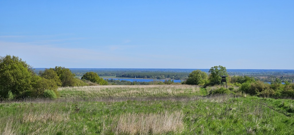 Działka z potencjałem inwestycyjnym - SKOLWIN (5)