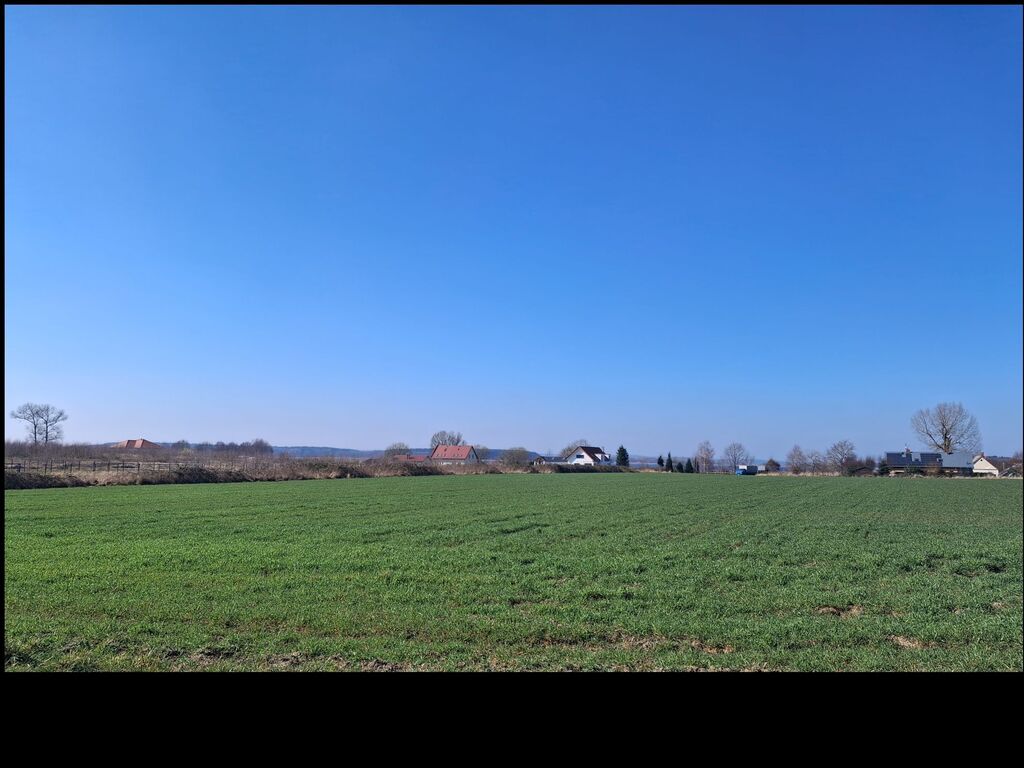 DZIAŁKA WŚRÓD CISZY, ZIELENI I WODY – 1,96 ha (1)