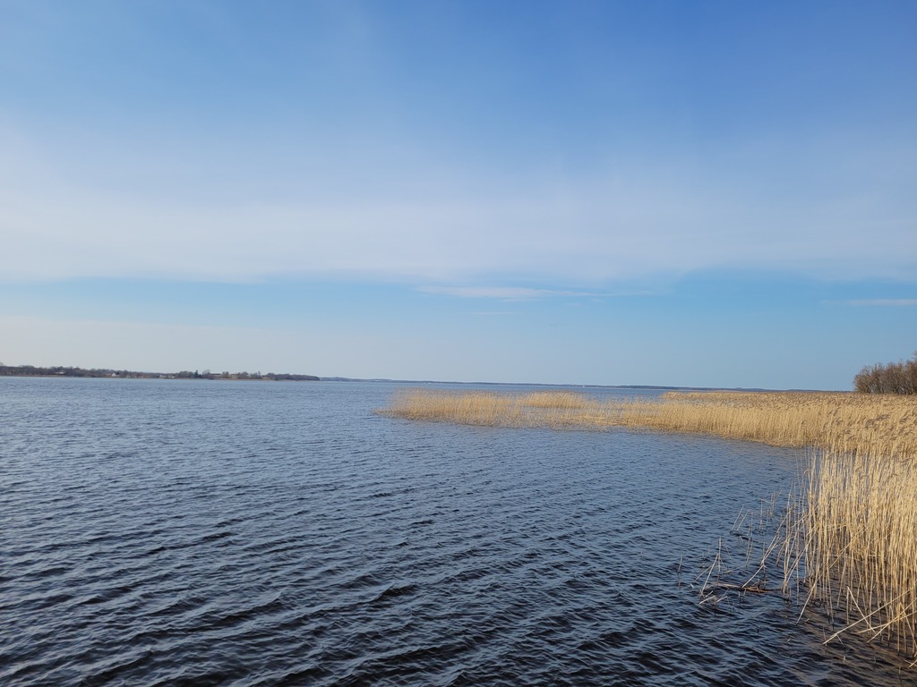 DZIAŁKA WŚRÓD CISZY, ZIELENI I WODY – 1,96 ha (3)