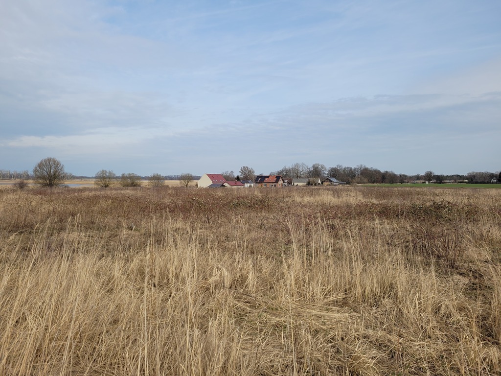 DZIAŁKA WŚRÓD CISZY, ZIELENI I WODY – 1,96 ha (4)