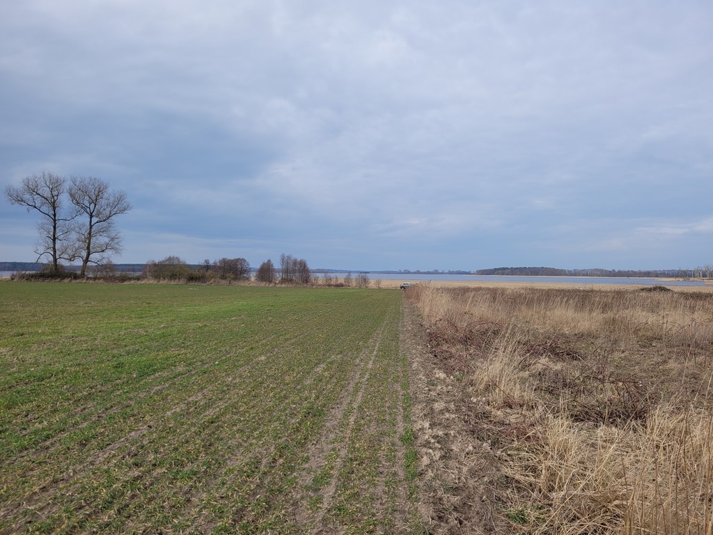 DZIAŁKA WŚRÓD CISZY, ZIELENI I WODY – 1,96 ha (5)