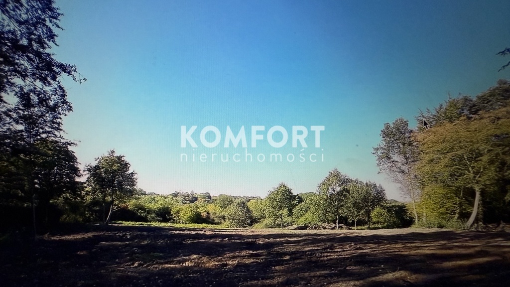 Zamieszkaj w otulinie lasu w Szczecinie (1)