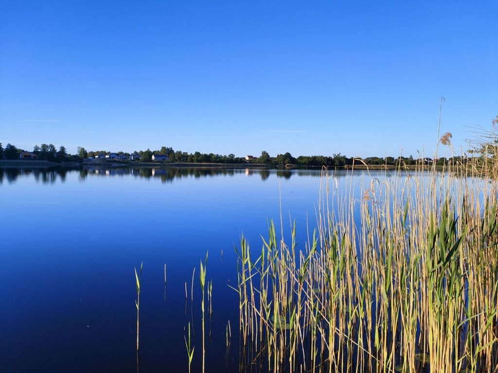 Ciche miejsce, 150 m do jeziora (1)