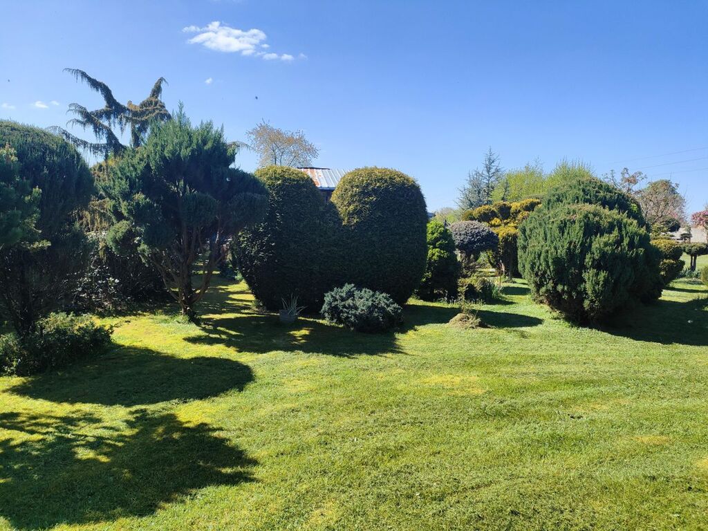 Ciche miejsce, 150 m do jeziora (5)