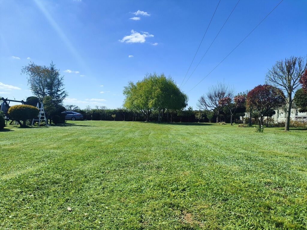 Ciche miejsce, 150 m do jeziora (6)