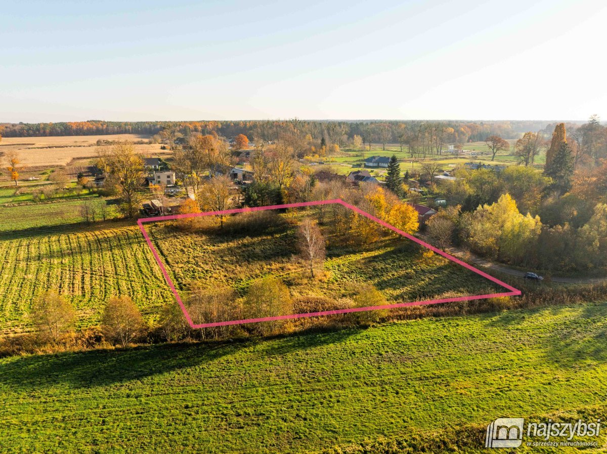 Czarne - Kompleks 2 działek na sprzedaż (1)