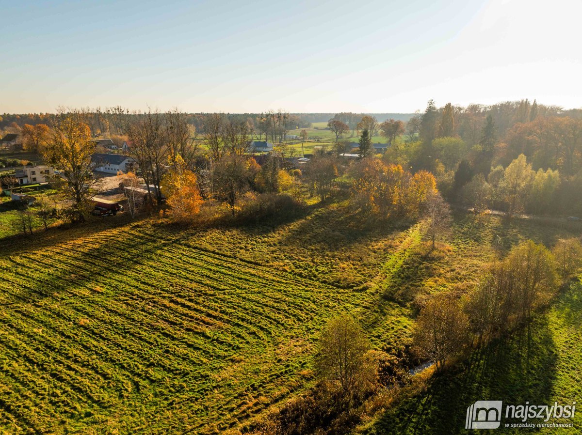 Czarne - Kompleks 2 działek na sprzedaż (11)