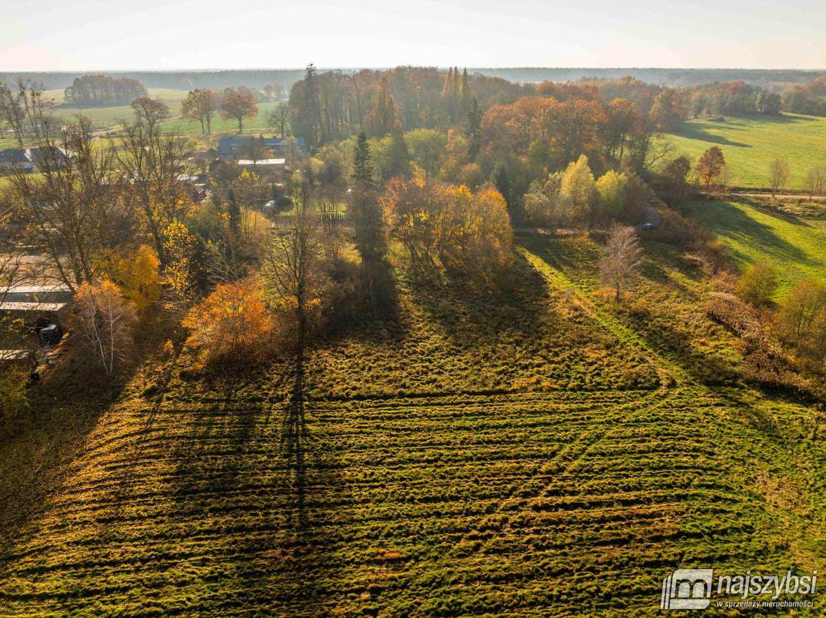 Czarne - Kompleks 2 działek na sprzedaż (12)