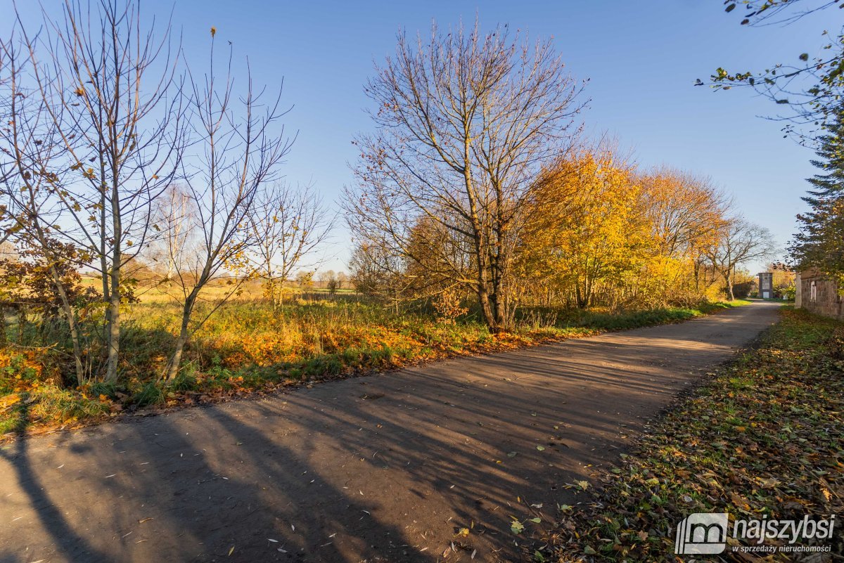 Czarne - Kompleks 2 działek na sprzedaż (5)