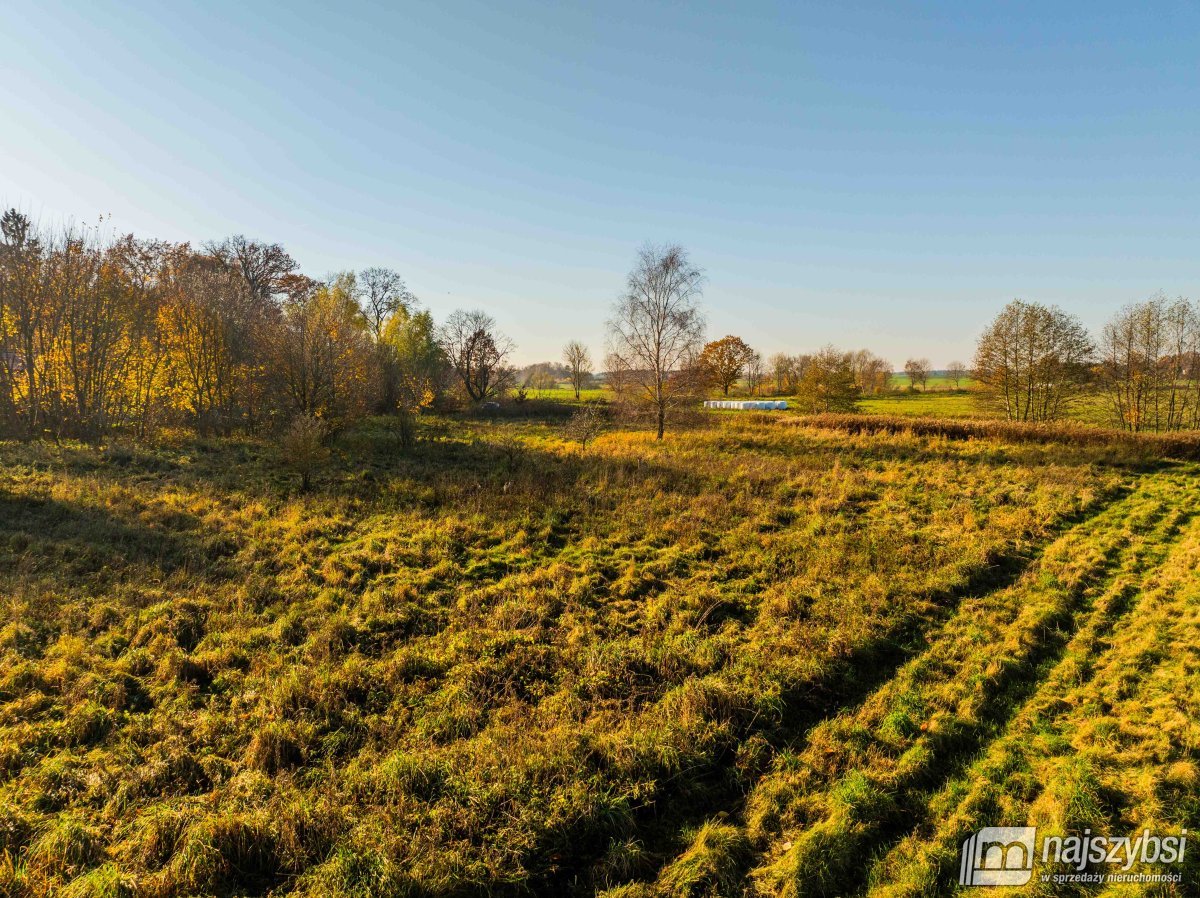 Czarne - Kompleks 2 działek na sprzedaż (6)