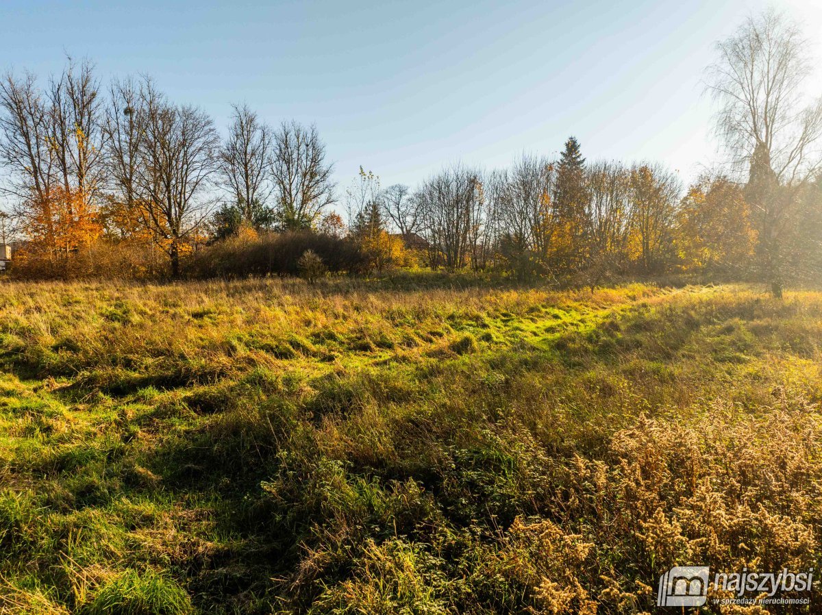 Czarne - Kompleks 2 działek na sprzedaż (7)