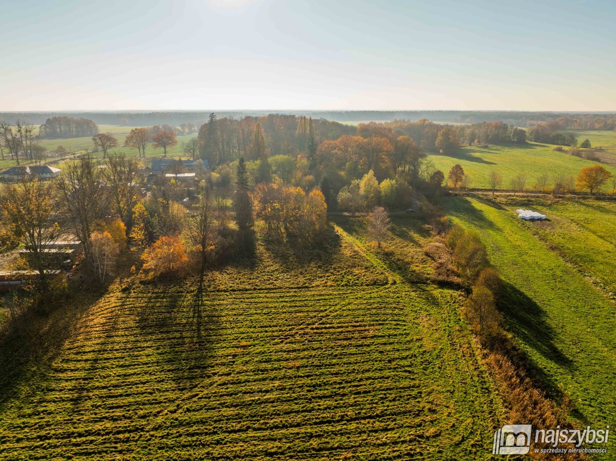 Czarne - Kompleks 2 działek na sprzedaż (8)