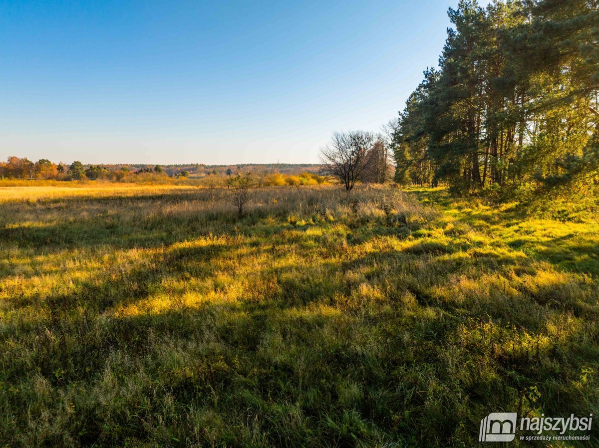 Wilczyniec –Działka pod fotowoltaikę lub żwirownie (10)