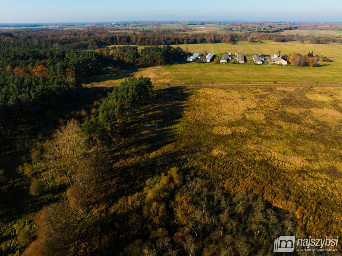 Wilczyniec –Działka pod fotowoltaikę lub żwirownie (11)
