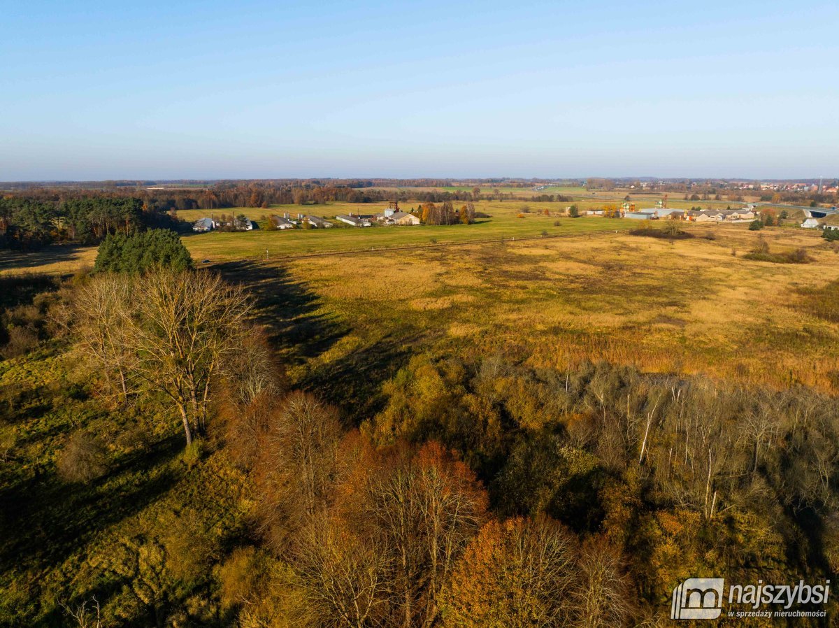 Wilczyniec –Działka pod fotowoltaikę lub żwirownie (12)