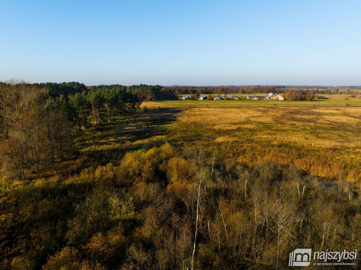 Wilczyniec –Działka pod fotowoltaikę lub żwirownie (13)