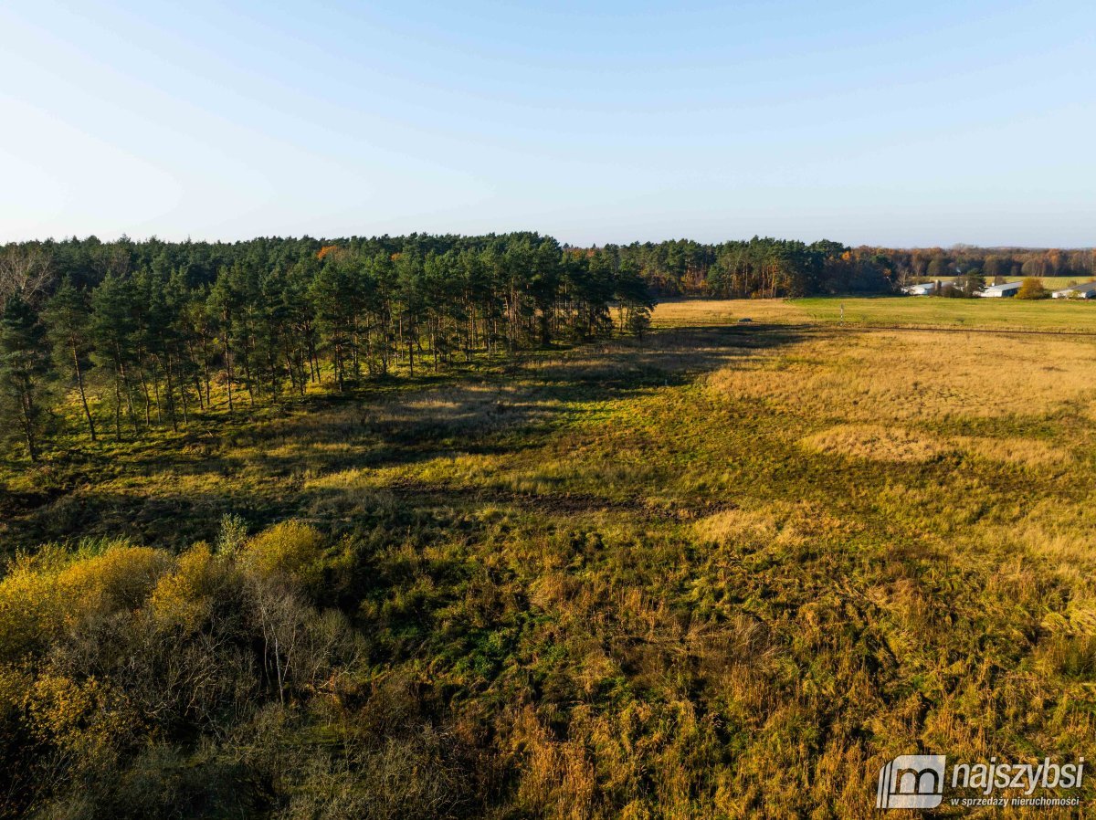 Wilczyniec –Działka pod fotowoltaikę lub żwirownie (14)