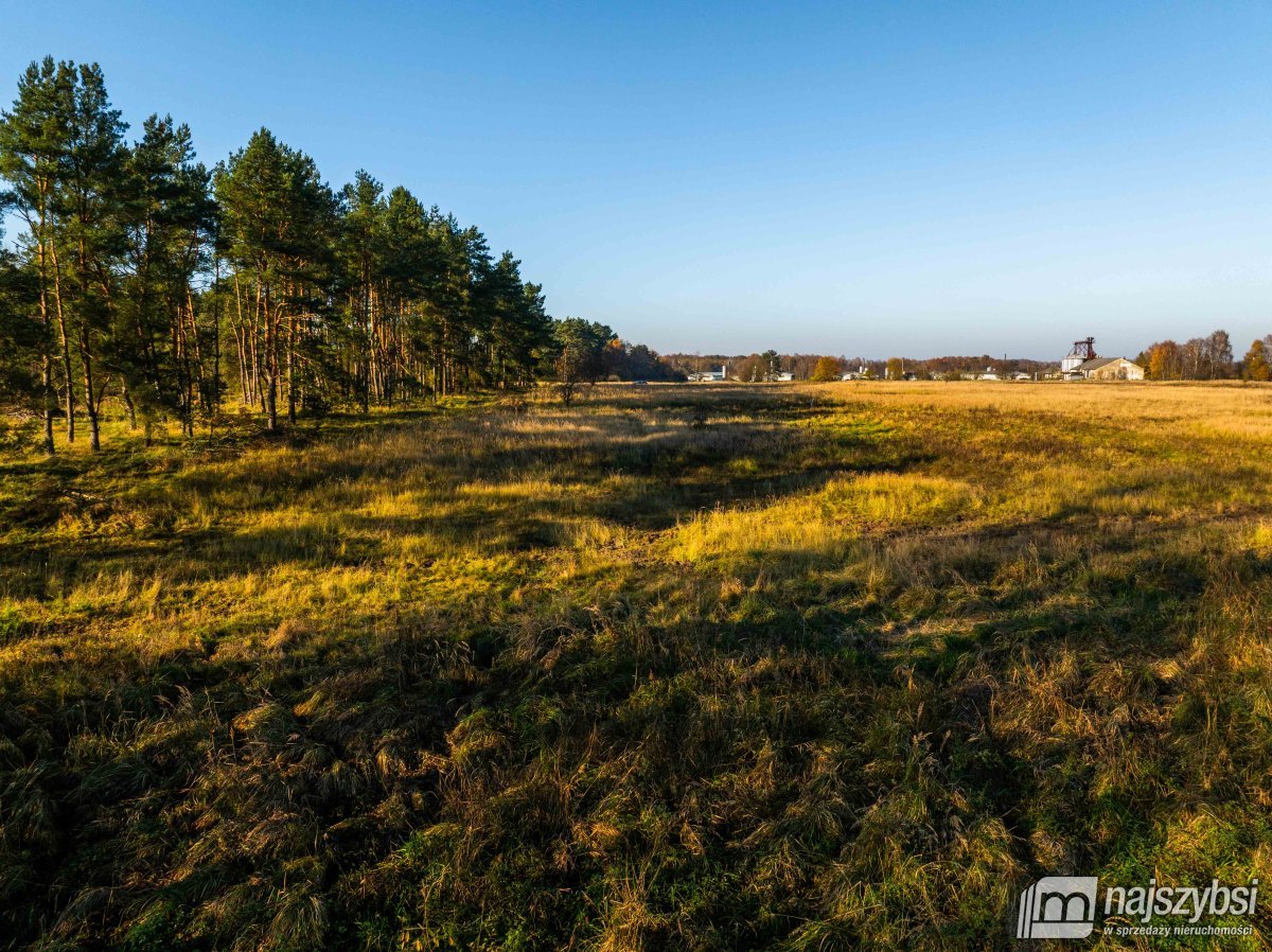 Wilczyniec –Działka pod fotowoltaikę lub żwirownie (15)