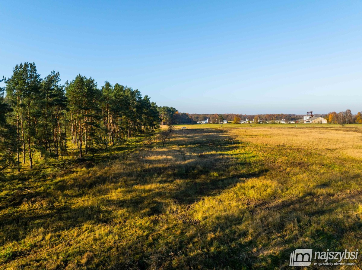 Wilczyniec –Działka pod fotowoltaikę lub żwirownie (16)