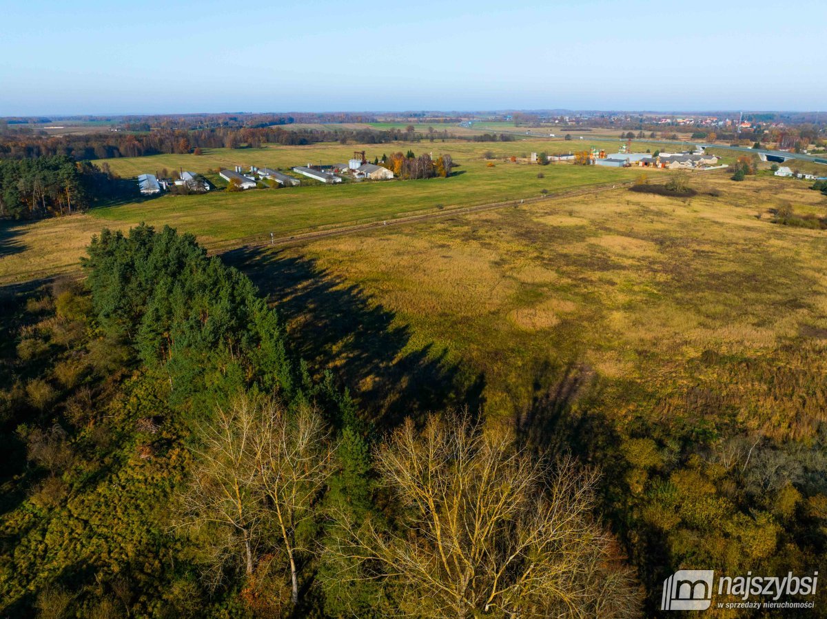 Wilczyniec –Działka pod fotowoltaikę lub żwirownie (17)