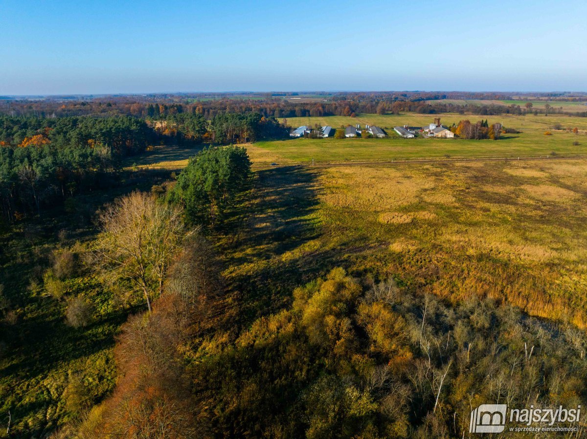 Wilczyniec –Działka pod fotowoltaikę lub żwirownie (18)