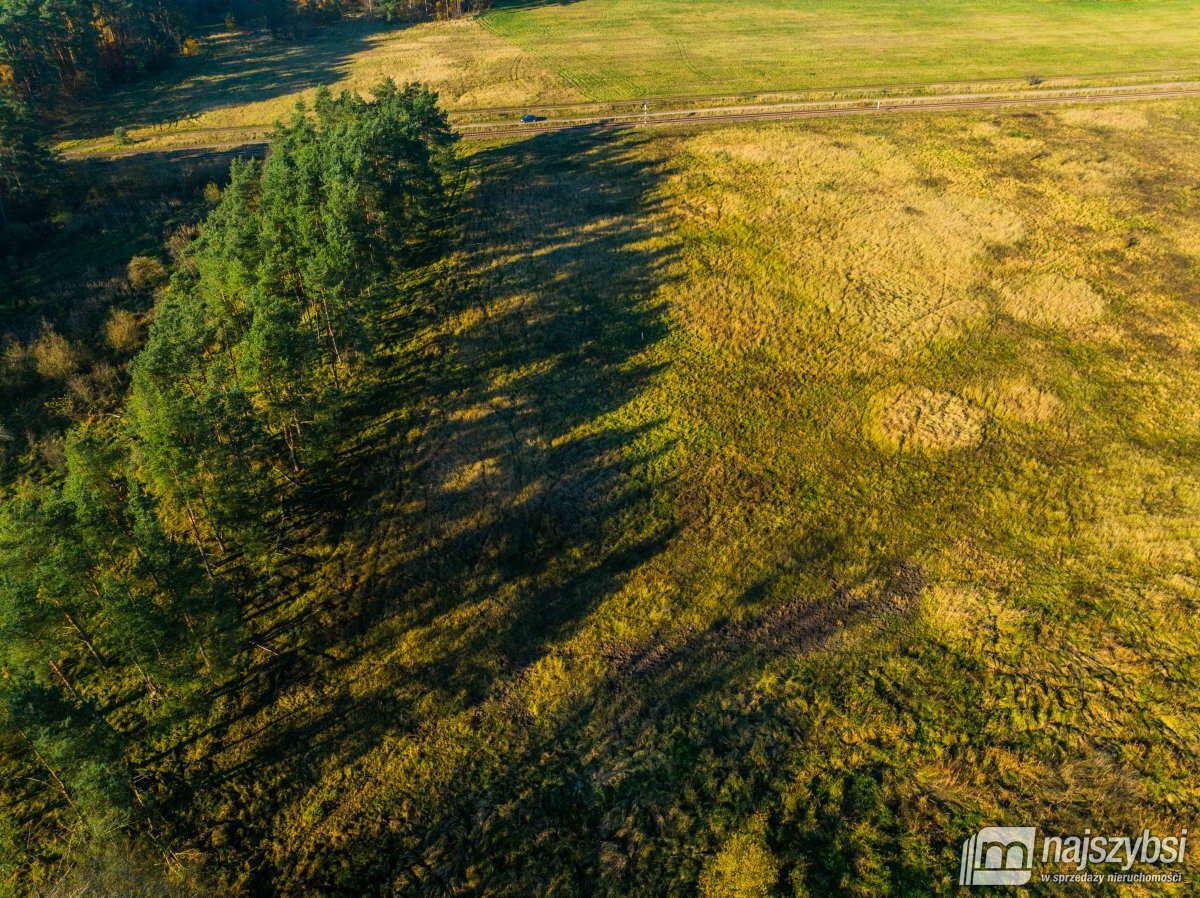 Wilczyniec –Działka pod fotowoltaikę lub żwirownie (19)