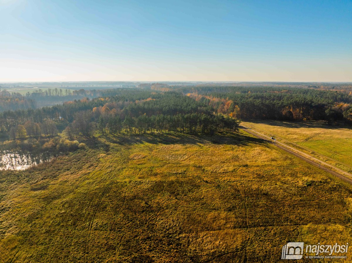Wilczyniec –Działka pod fotowoltaikę lub żwirownie (2)