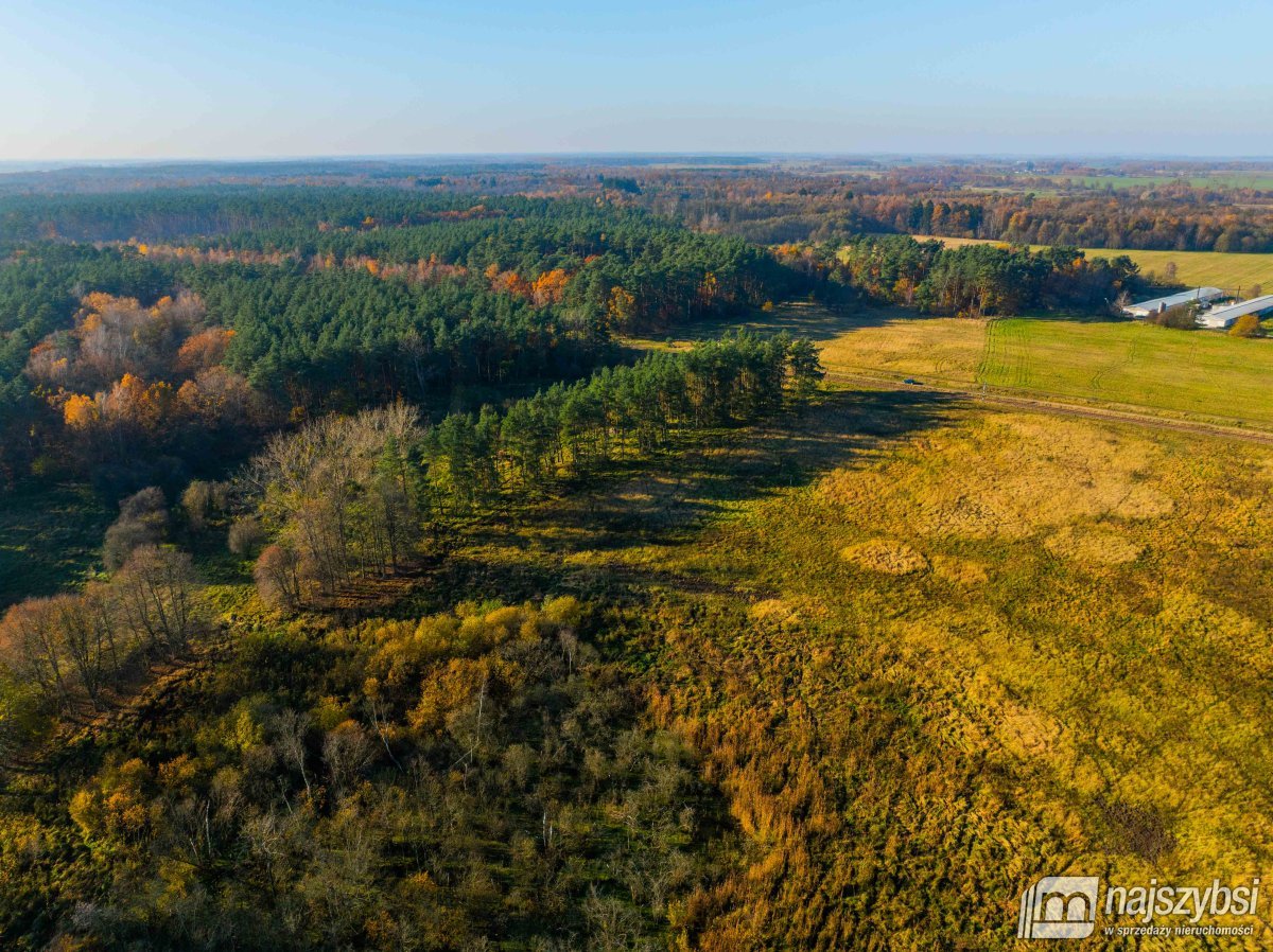 Wilczyniec –Działka pod fotowoltaikę lub żwirownie (20)