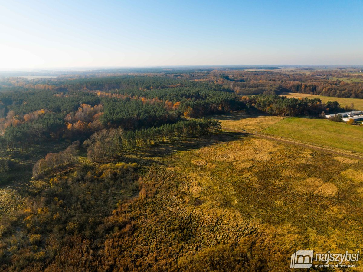 Wilczyniec –Działka pod fotowoltaikę lub żwirownie (3)