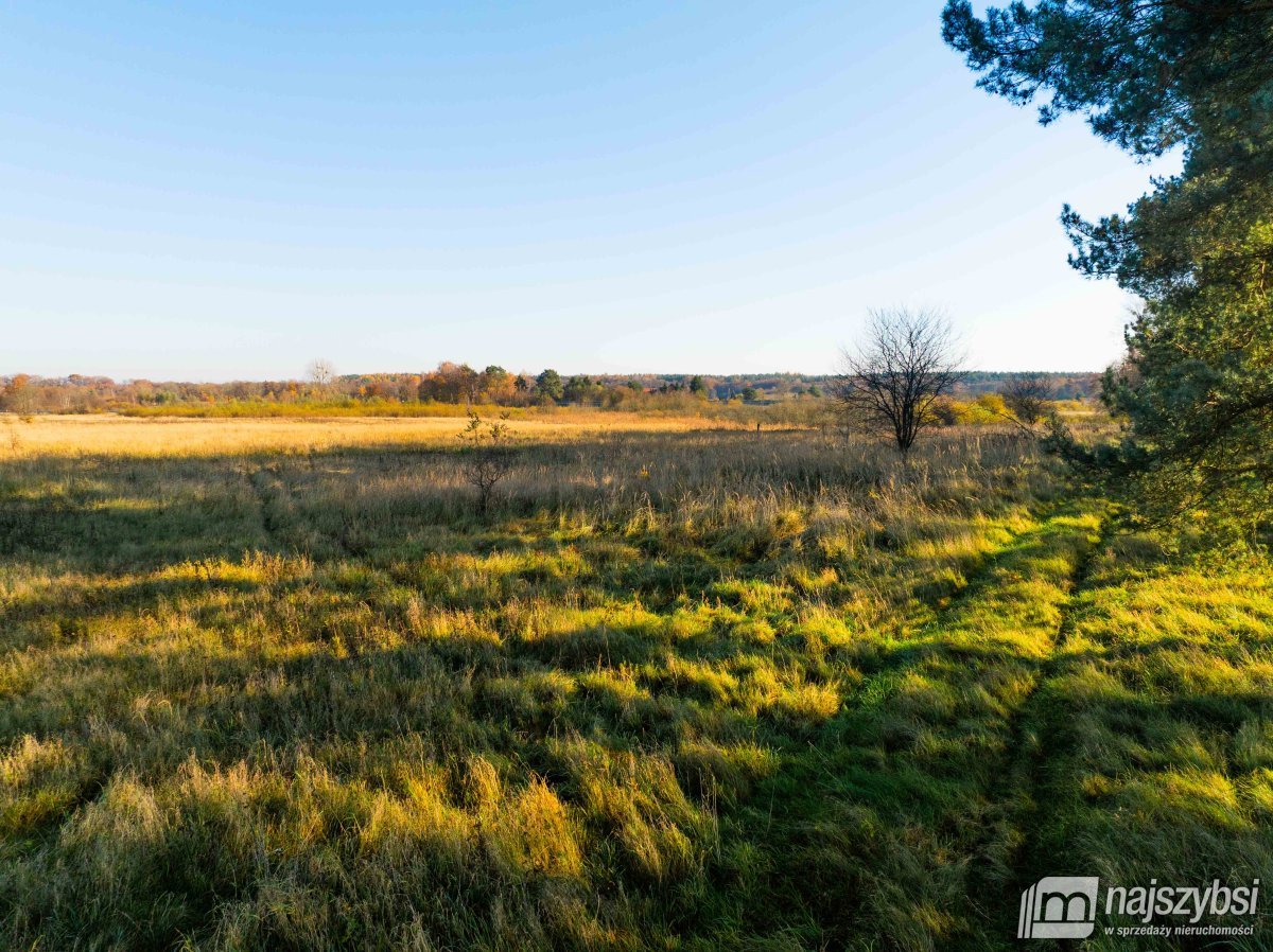 Wilczyniec –Działka pod fotowoltaikę lub żwirownie (5)