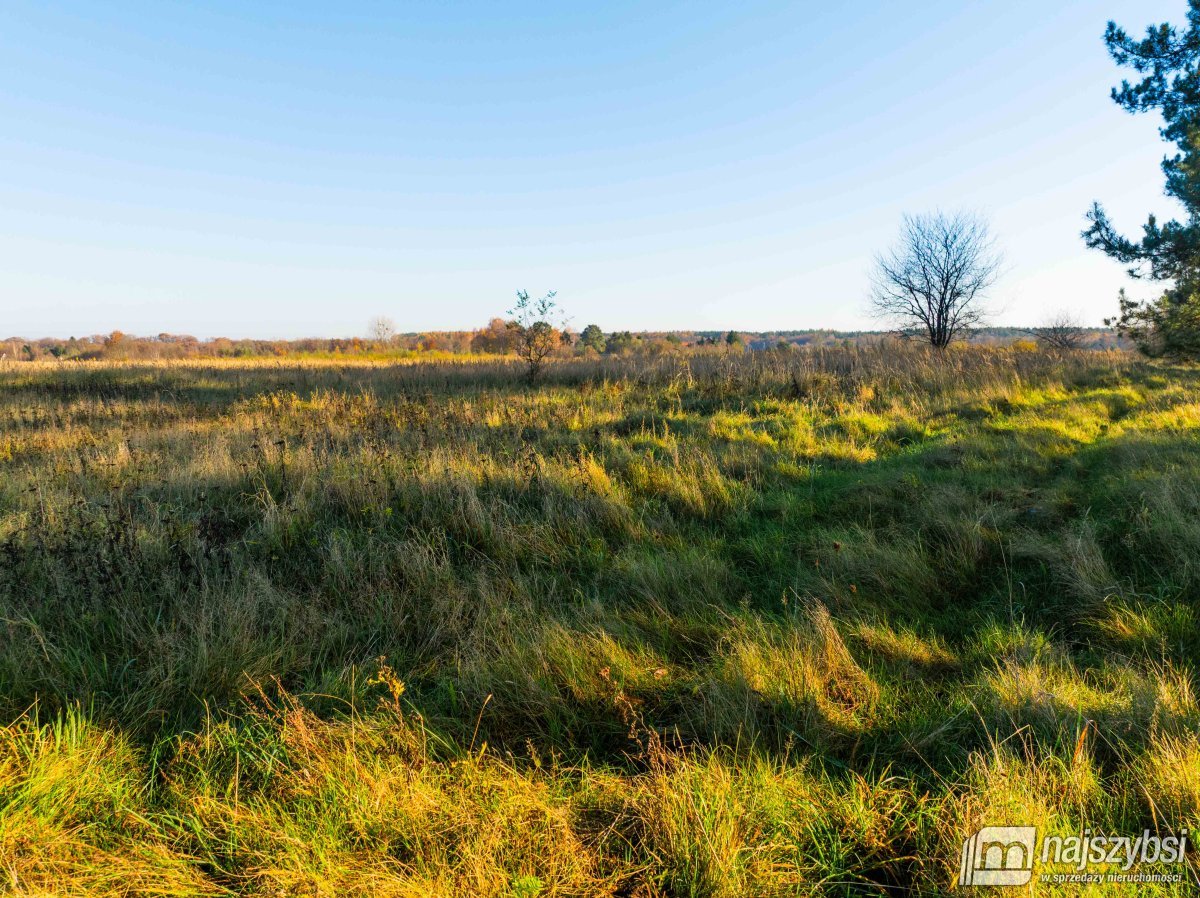 Wilczyniec –Działka pod fotowoltaikę lub żwirownie (6)