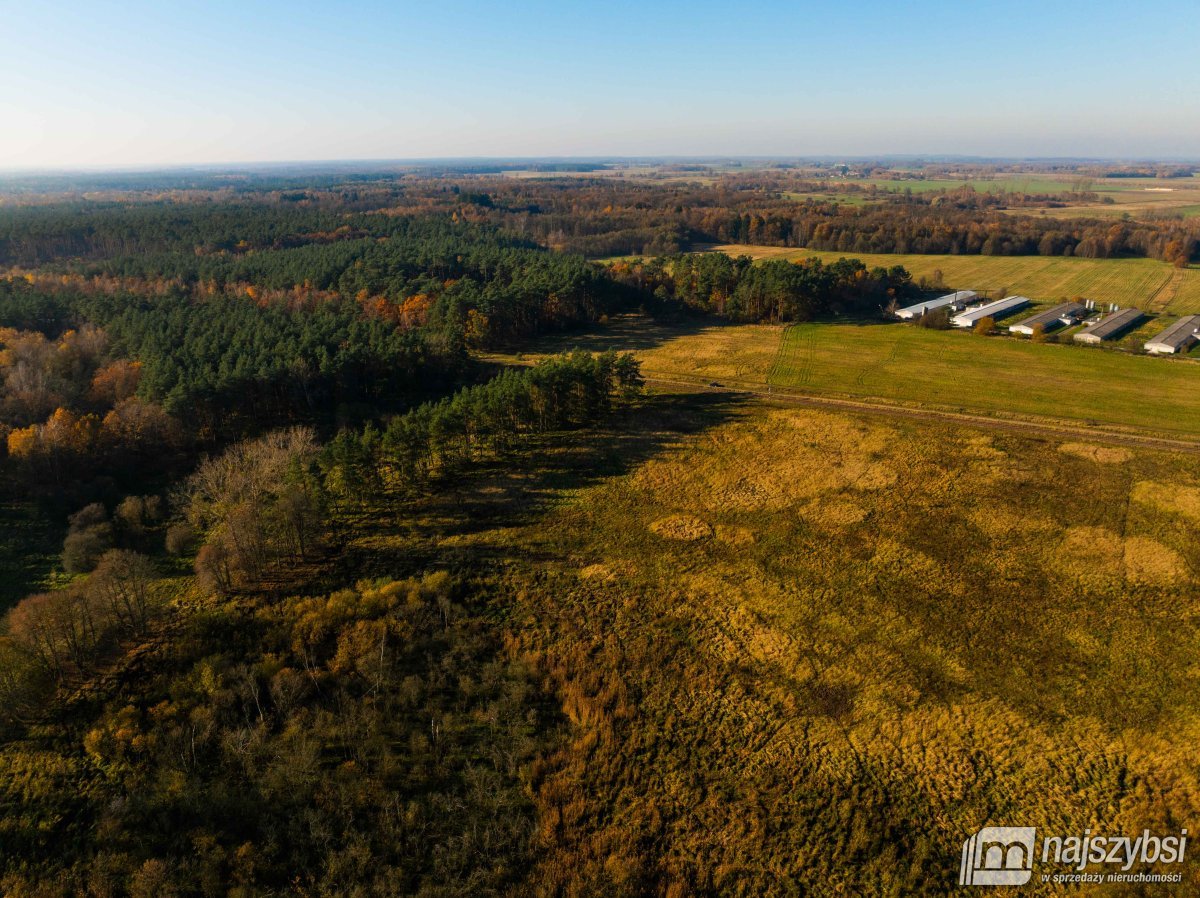 Wilczyniec –Działka pod fotowoltaikę lub żwirownie (7)