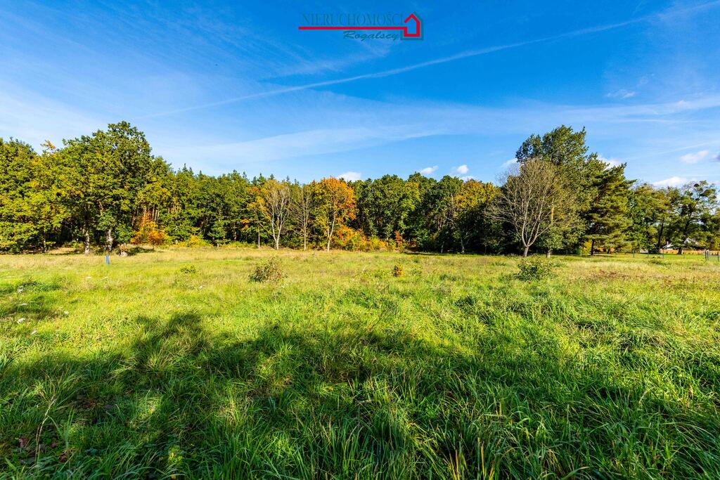 Nowy dom w sąsiedztwie lasu (gm. Stepnica) (4)