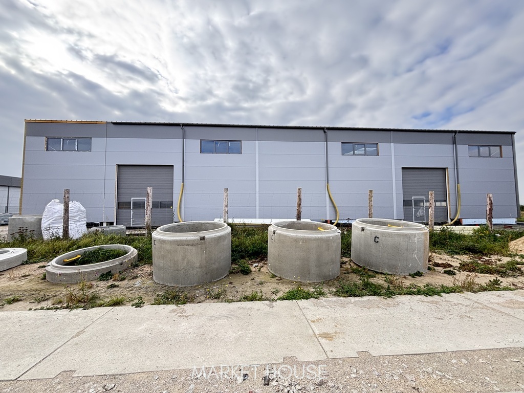 Nowa hala na wynajem (3)