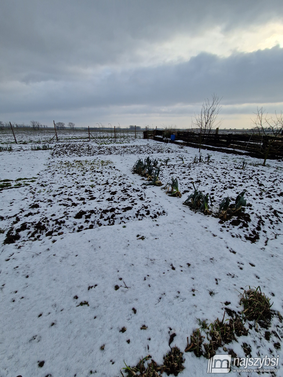 STARGARD-OKOLICE-bezczynszowe z ogródkiem i garaże (11)