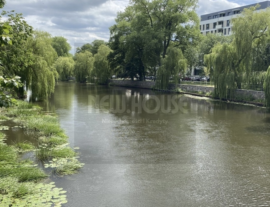 Wyjątkowe mieszkanie, TOP lokalizacja! (6)