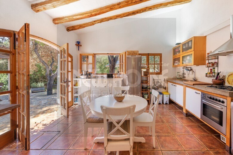 Wakacyjna willa z basenem na Majorce (5)