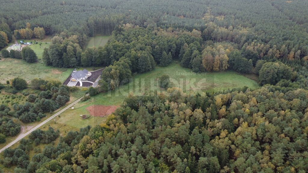 Działki z lasem Brzózki (6)